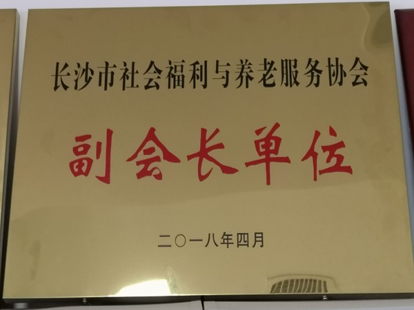 长沙市社会福利与养老服务协会副会长单位